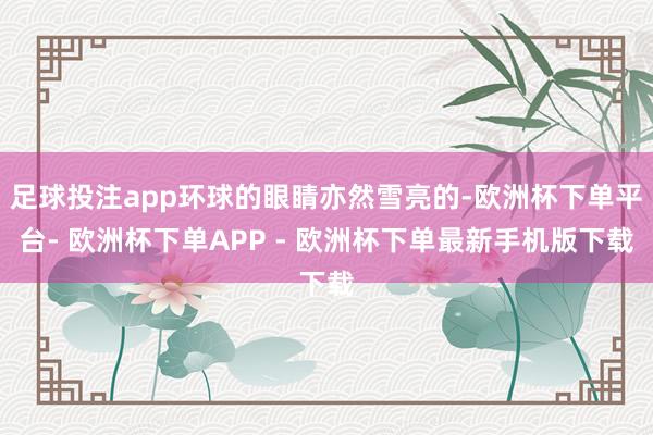 足球投注app环球的眼睛亦然雪亮的-欧洲杯下单平台- 欧洲杯下单APP - 欧洲杯下单最新手机版下载