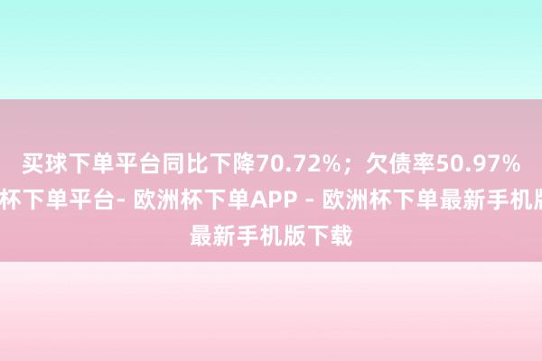 买球下单平台同比下降70.72%；欠债率50.97%-欧洲杯下单平台- 欧洲杯下单APP - 欧洲杯下单最新手机版下载